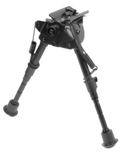 Bipied Country 5 Positions...