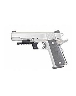 Rail picatinny pour 1911