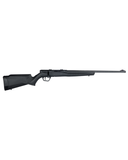 Carabine Savage B 22 F Cal....