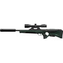 Carabine Walther RS3 avec montage optique rapide