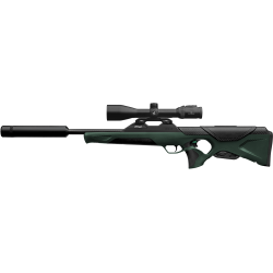 Carabine Walther RS3 avec montage optique rapide