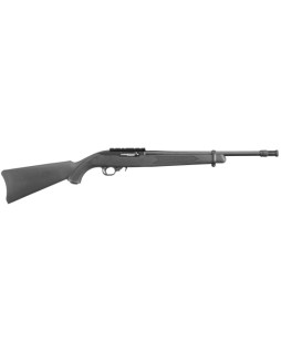 Carabine Ruger 10/22...