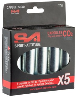 Capsules Gaz Co2 12g X5