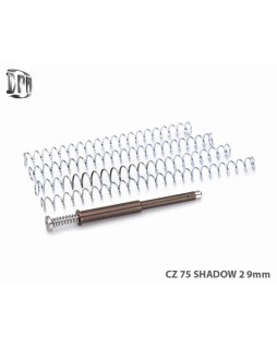 Kit ressorts DPM pour CZ 75...