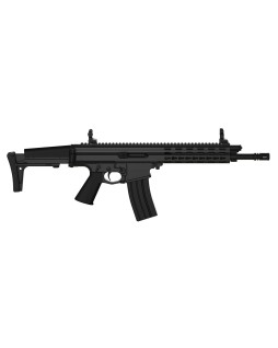 Carabine semi-automatique...