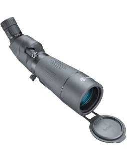 Lunette terrestre coudée...