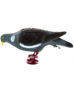 Appelant Pigeon Ramier avec...