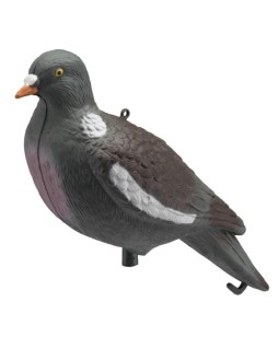 Appelant Pigeon Ramier
