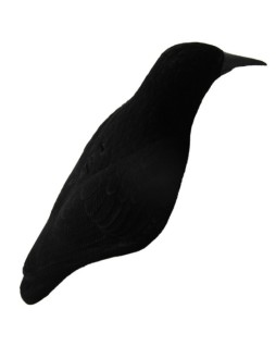 Appelant Corbeau Velours