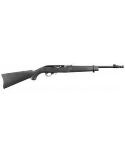 Carabine Ruger 10/22...